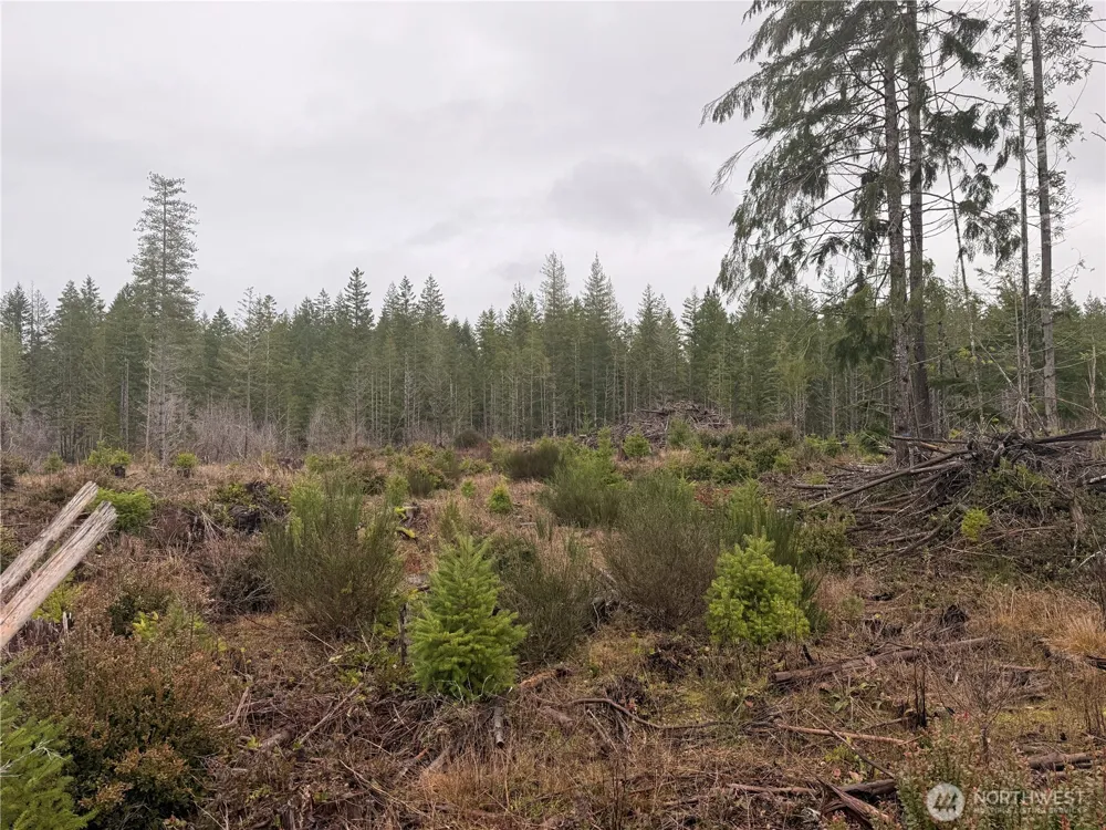 10 XX E Shetland Road Shelton, WA 98584