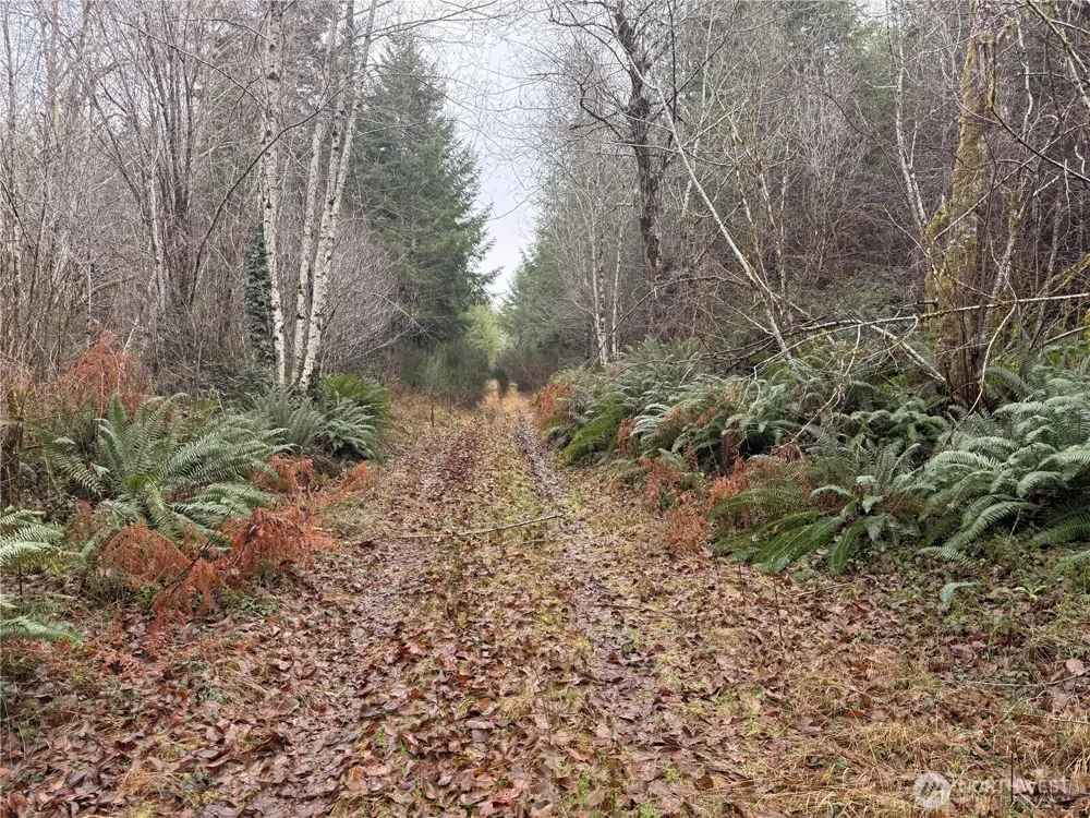 10 XX E Shetland Road Shelton, WA 98584
