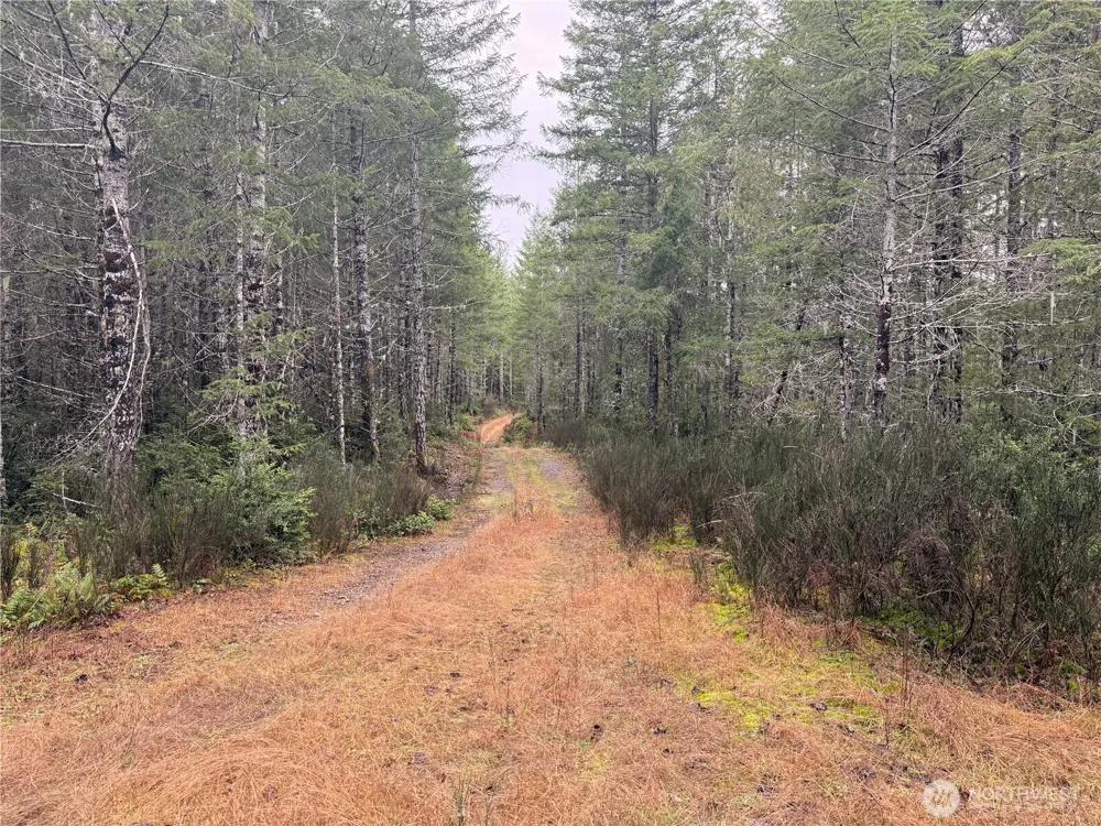 10 XX E Shetland Road Shelton, WA 98584
