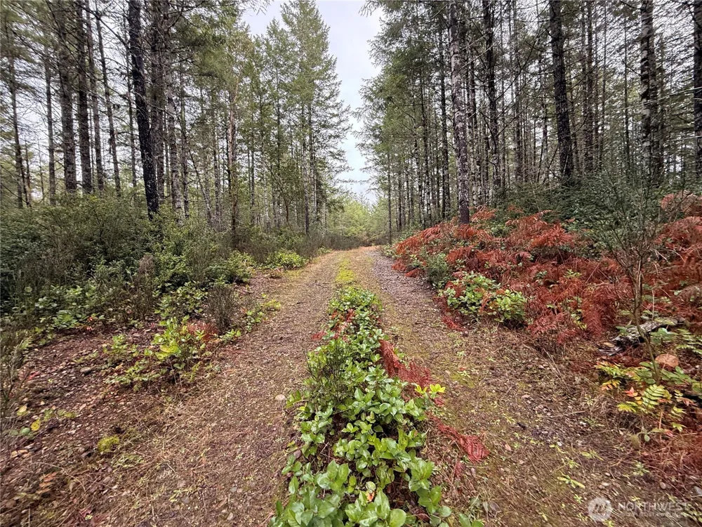 10 XX E Shetland Road Shelton, WA 98584
