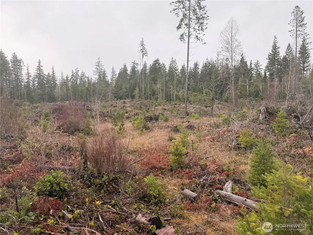 10 XX E Shetland Road Shelton, WA 98584