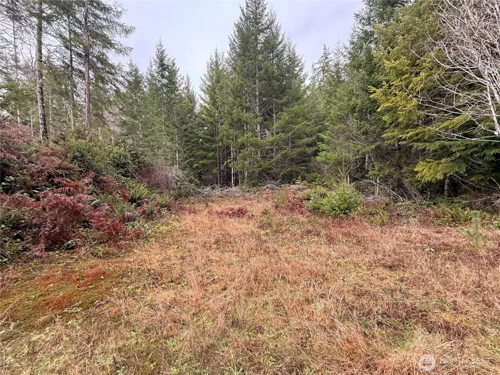10 XX E Shetland Road Shelton, WA 98584