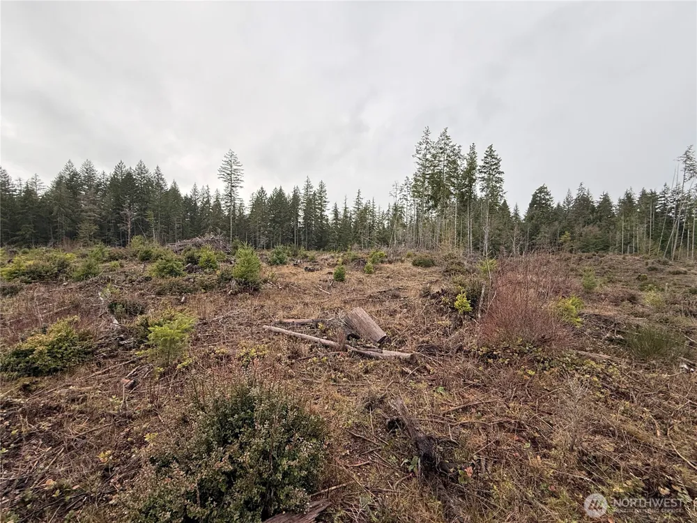 10 XX E Shetland Road Shelton, WA 98584
