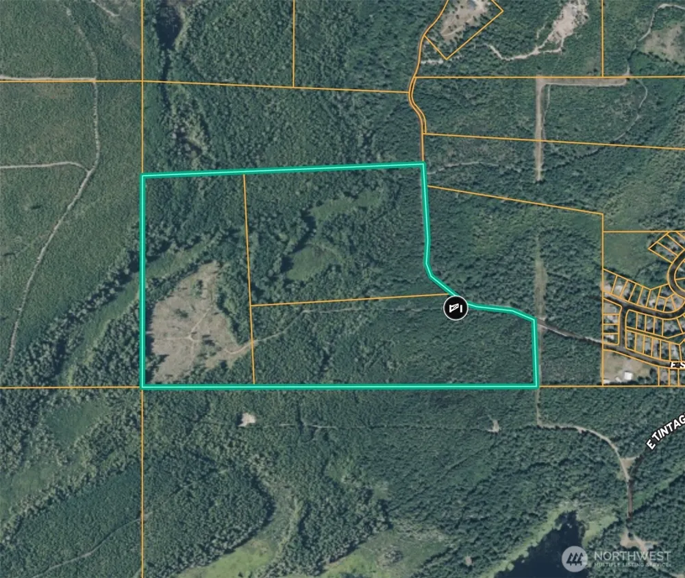 10 XX E Shetland Road Shelton, WA 98584