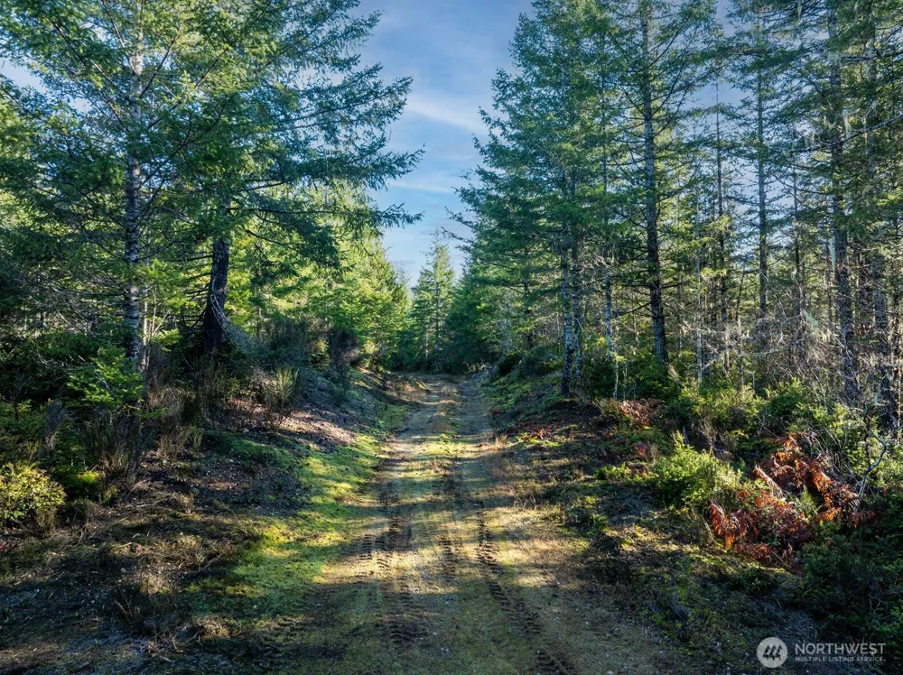10 XX E Shetland Road Shelton, WA 98584
