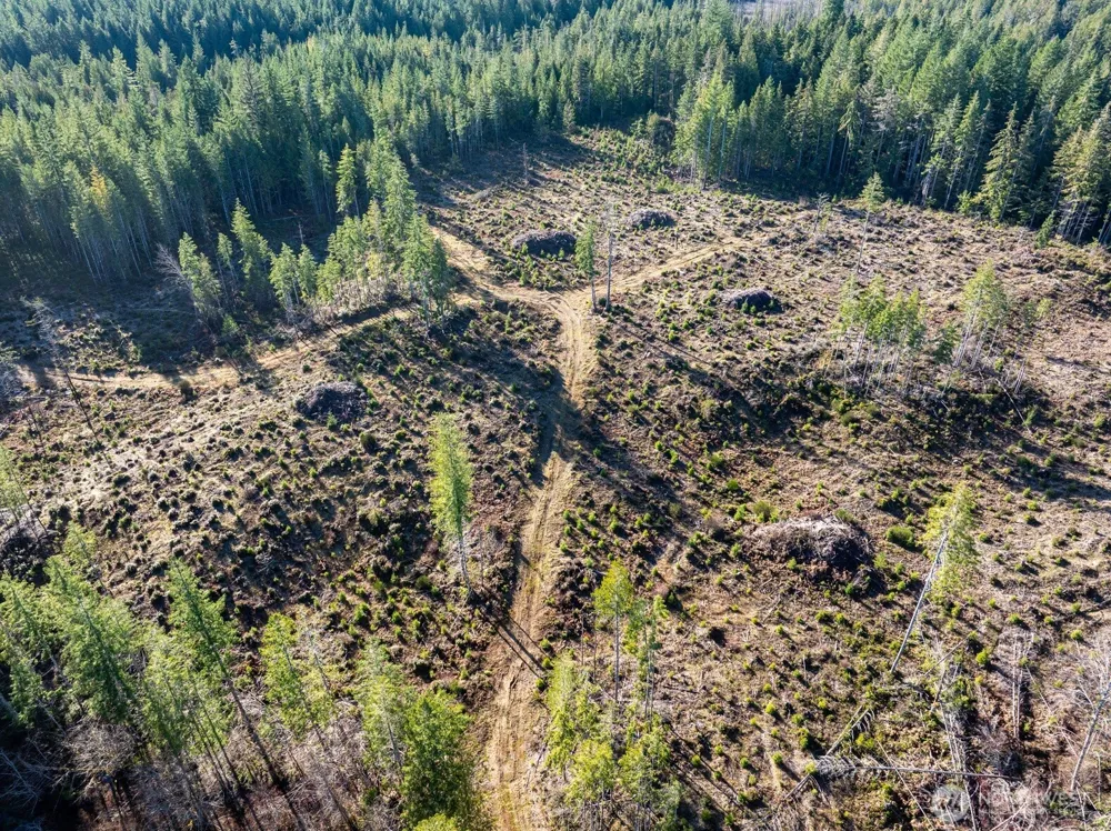 10 XX E Shetland Road Shelton, WA 98584