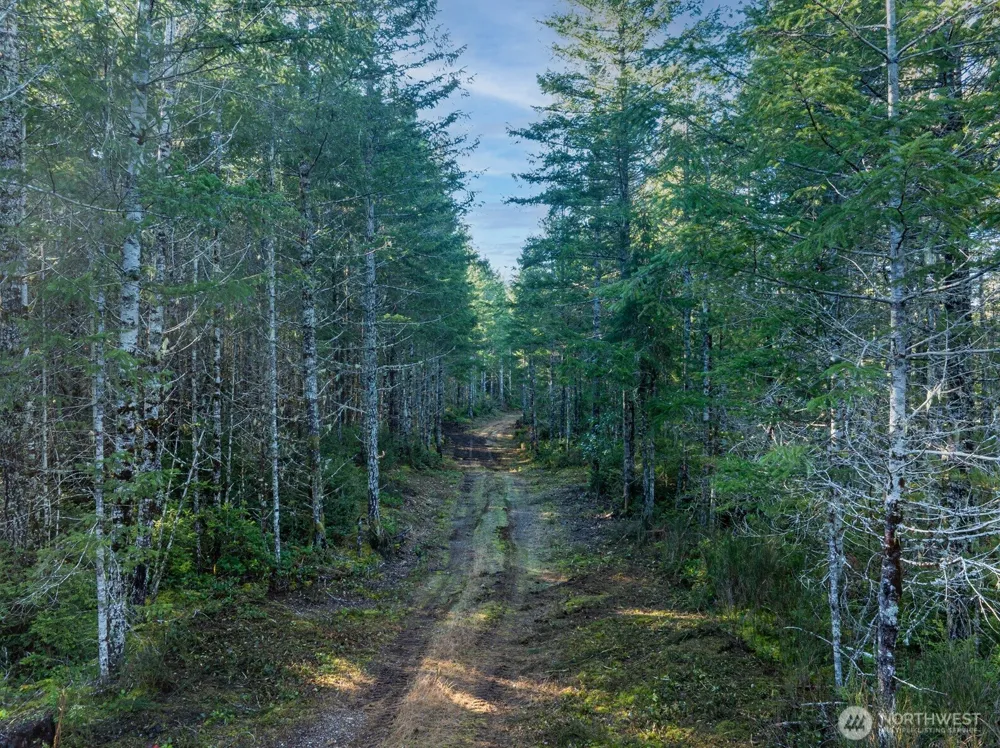 10 XX E Shetland Road Shelton, WA 98584