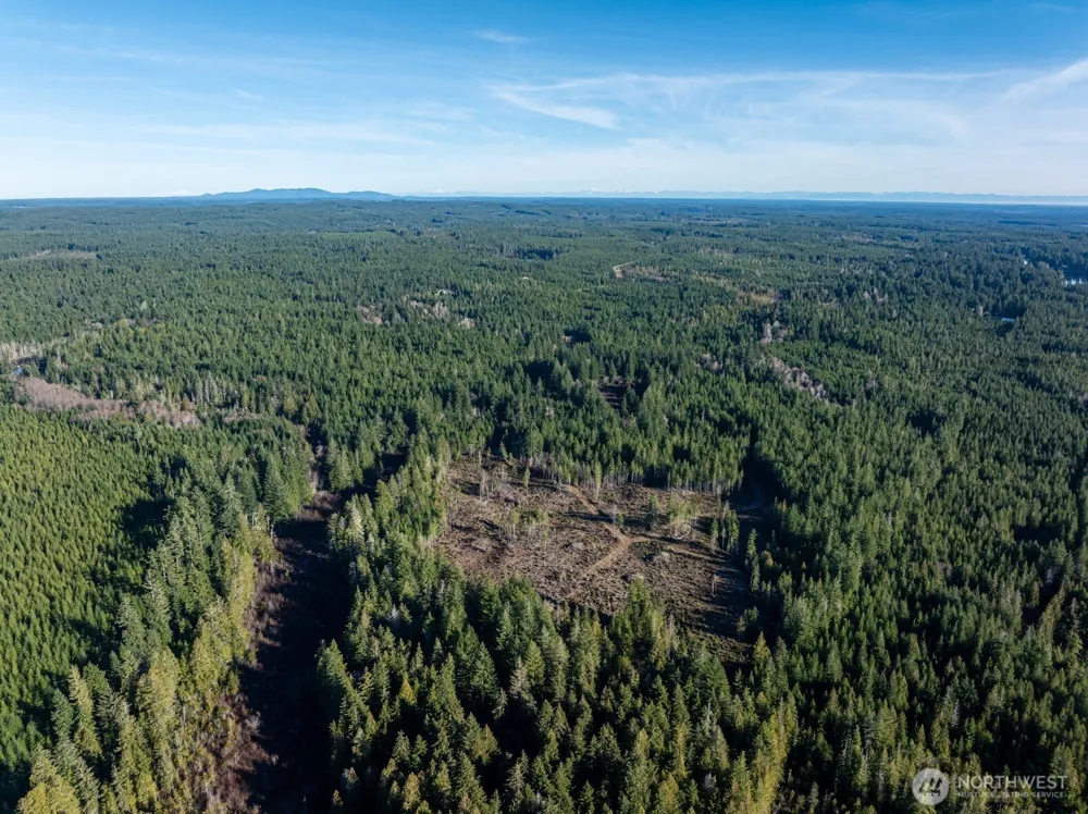 10 XX E Shetland Road Shelton, WA 98584