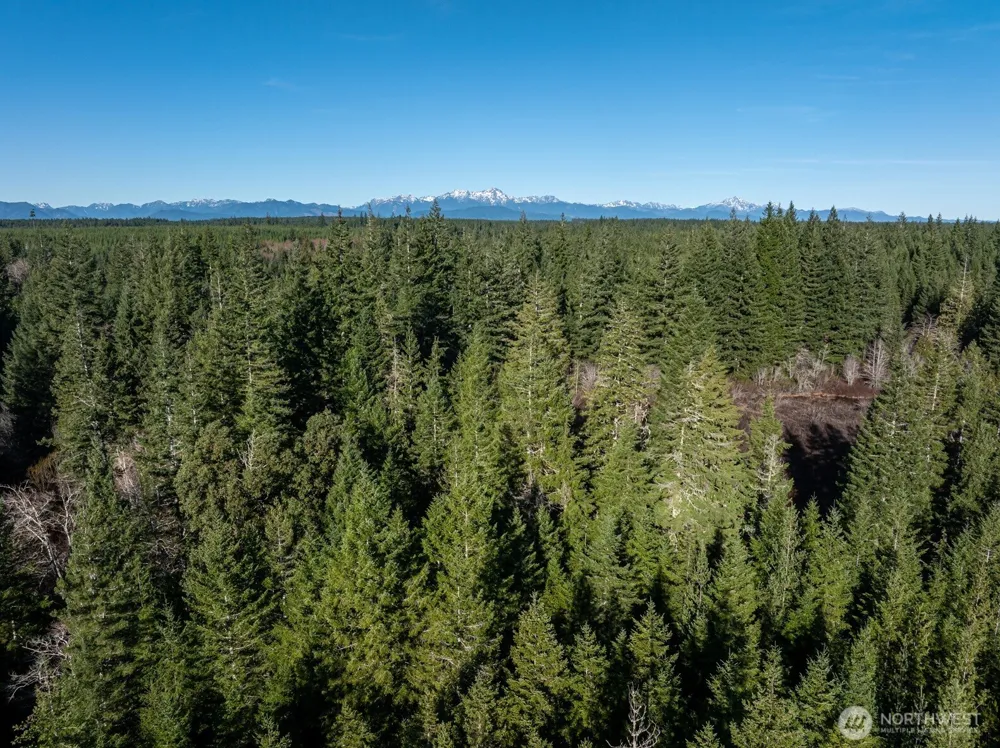 10 XX E Shetland Road Shelton, WA 98584