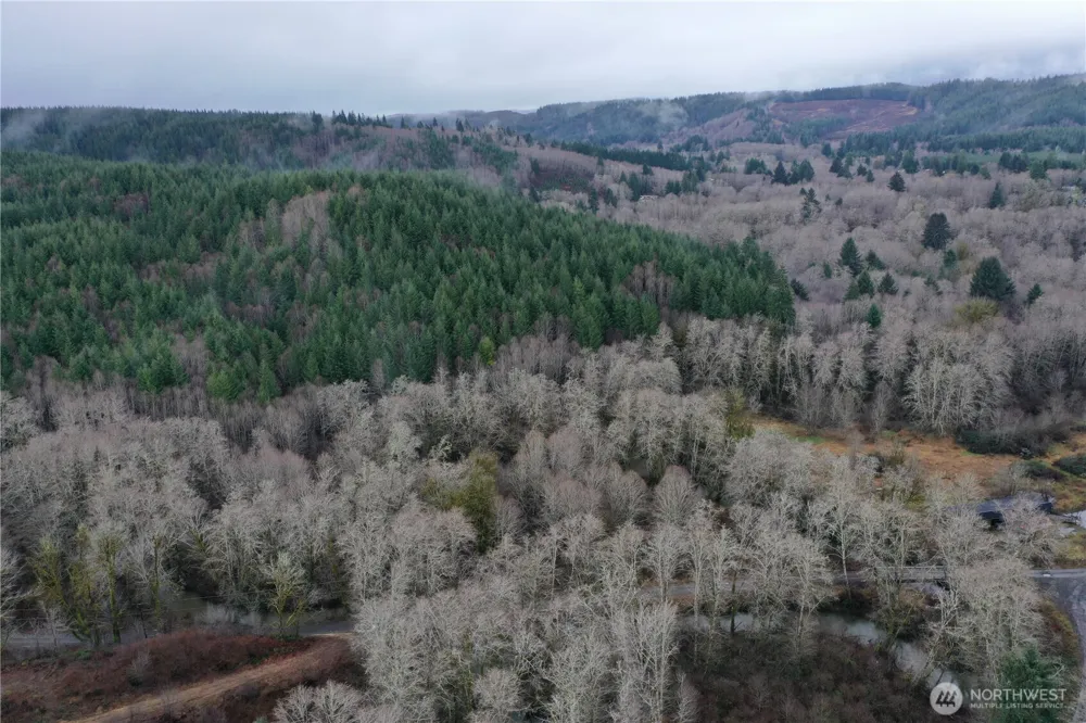 828 Wilkie Lane Montesano, WA 98563