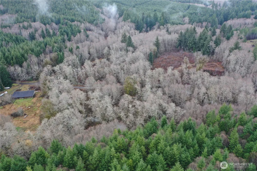 828 Wilkie Lane Montesano, WA 98563