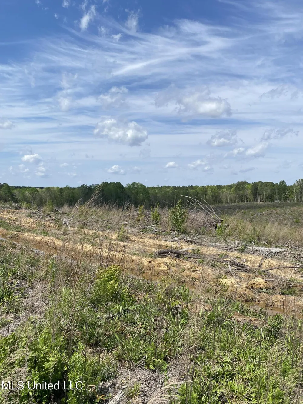 County Road 1115 Kosciusko, MS 39090
