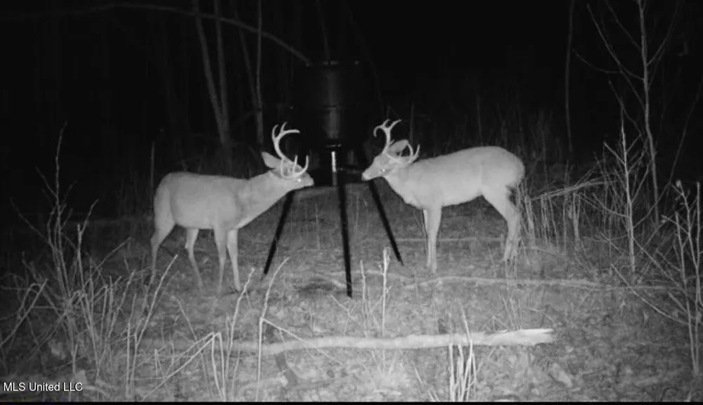 County Road 1115 Kosciusko, MS 39090