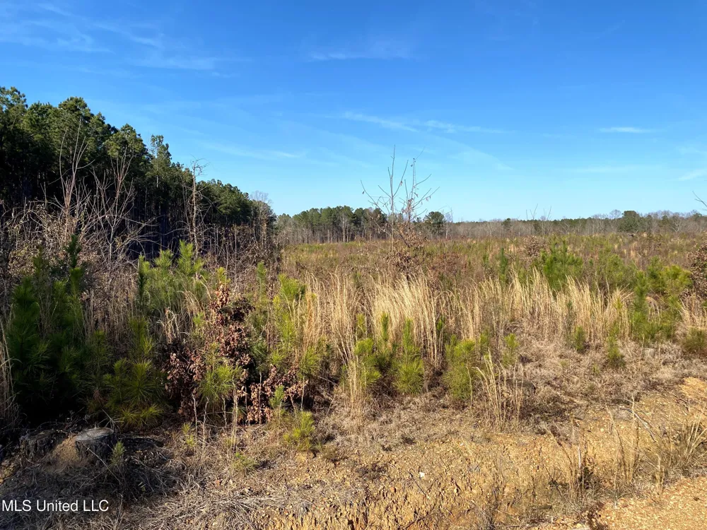 County Road 1115 Kosciusko, MS 39090