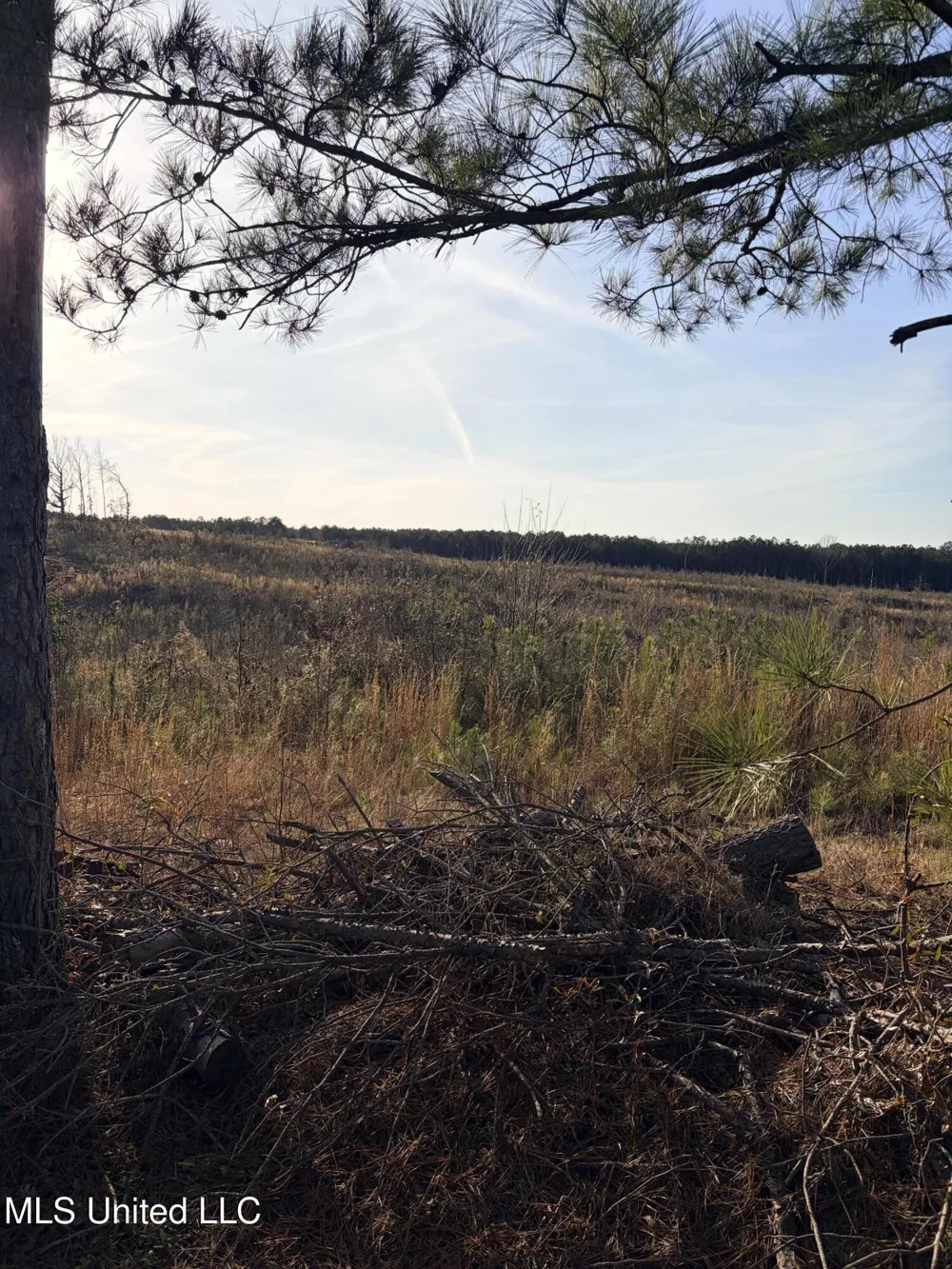County Road 1115 Kosciusko, MS 39090