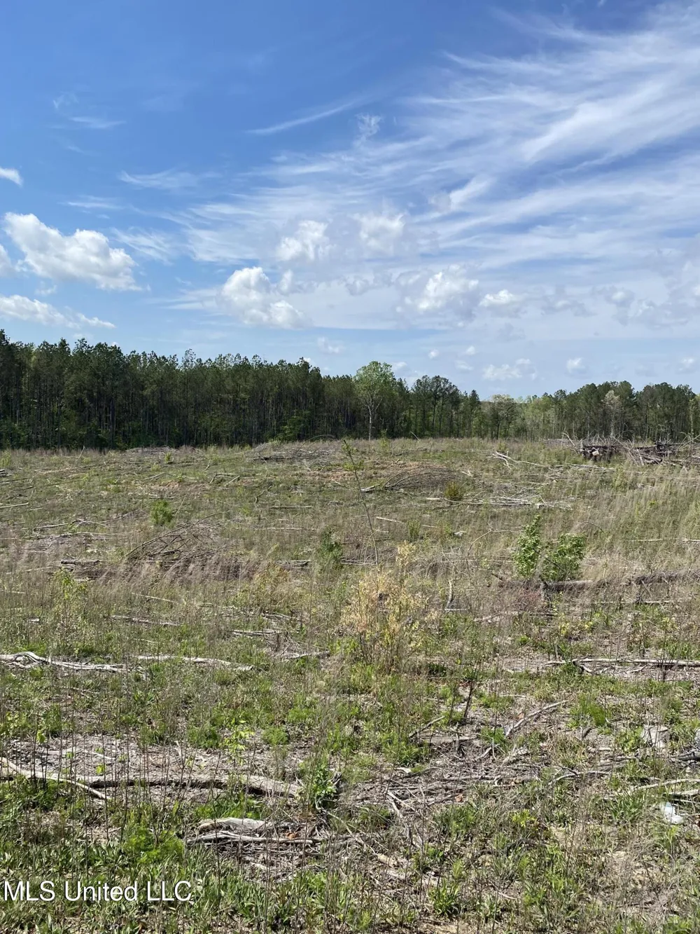County Road 1115 Kosciusko, MS 39090