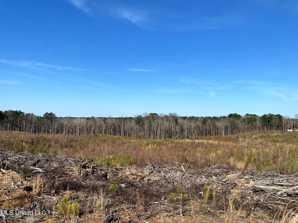 County Road 1115 Kosciusko, MS 39090