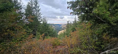 30 Acres off Biscuit Ridge