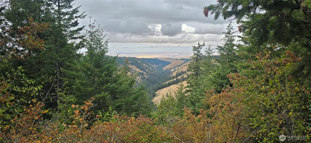 30 Acres off Biscuit Ridge Waitsburg, WA 99361