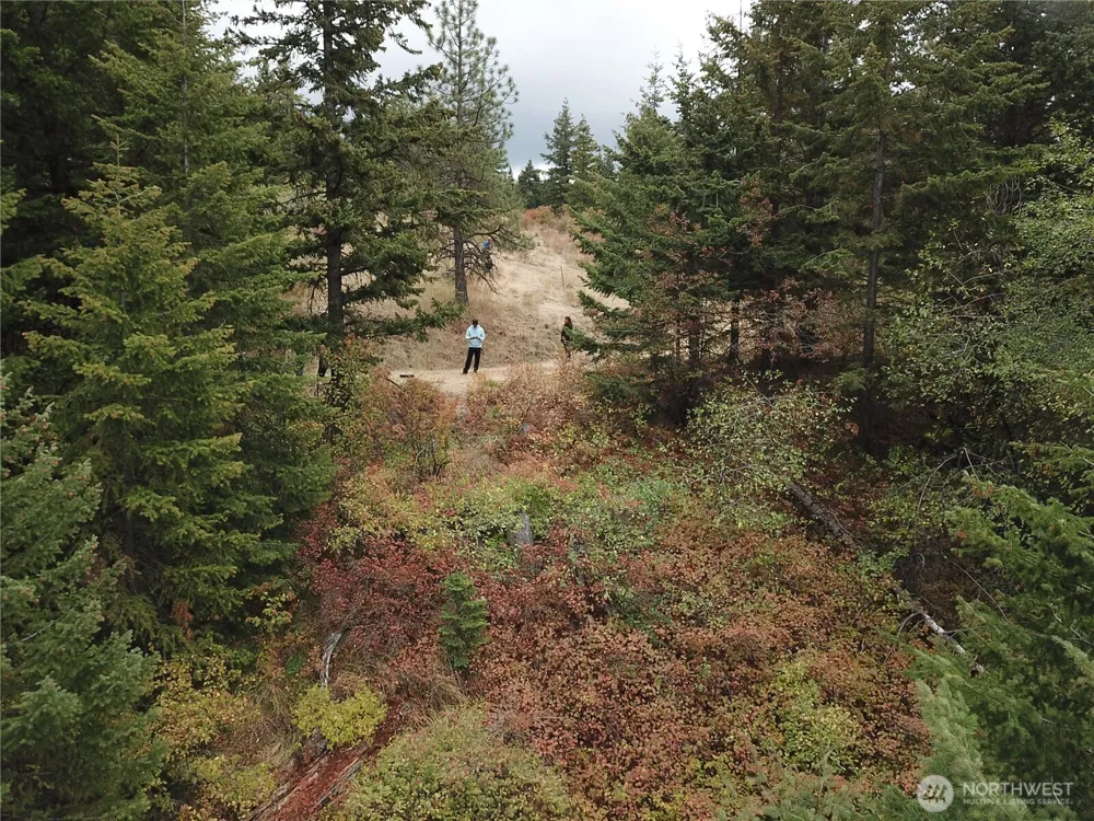 30 Acres off Biscuit Ridge Waitsburg, WA 99361