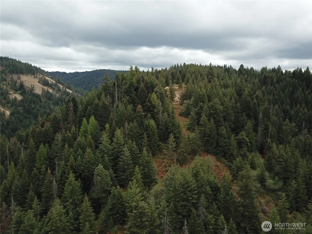 30 Acres off Biscuit Ridge Waitsburg, WA 99361