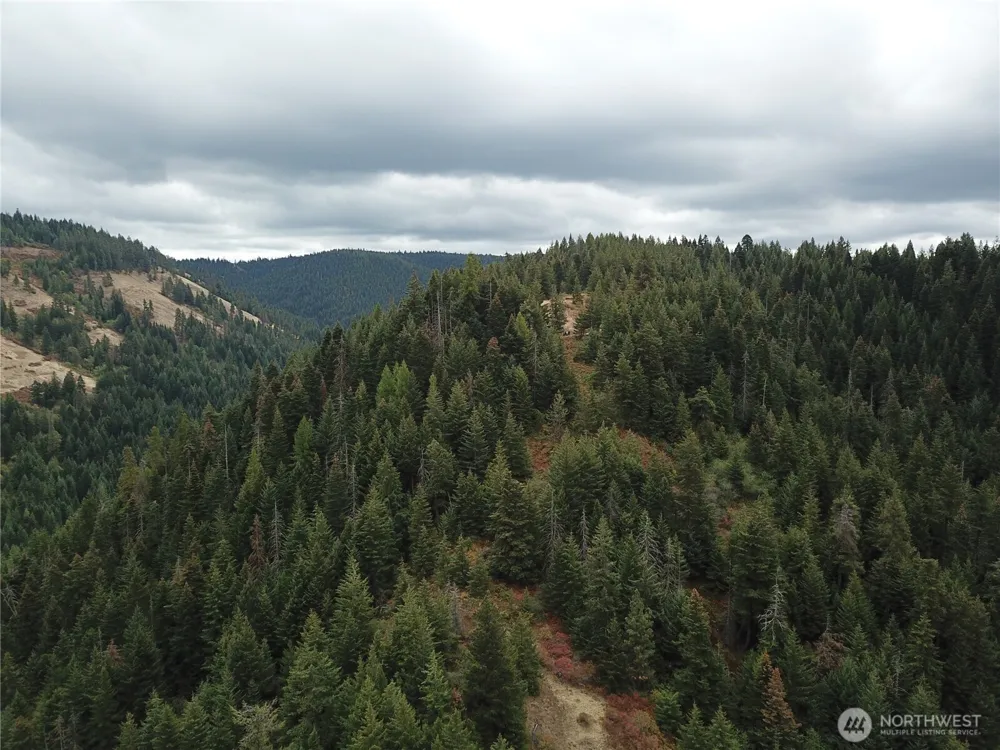 30 Acres off Biscuit Ridge Waitsburg, WA 99361