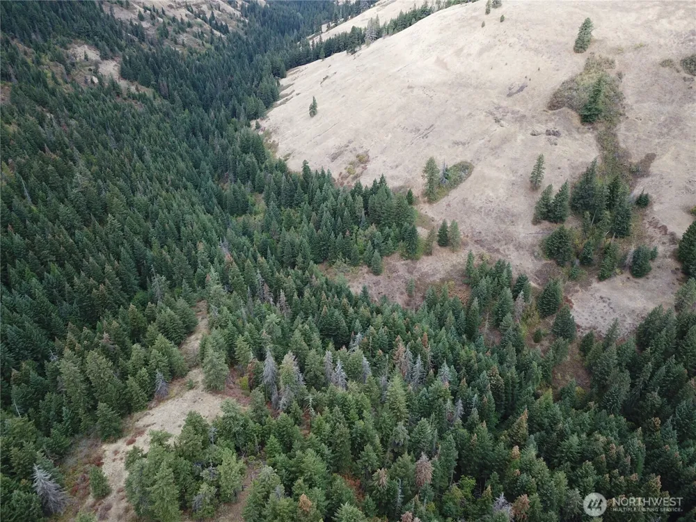 30 Acres off Biscuit Ridge Waitsburg, WA 99361