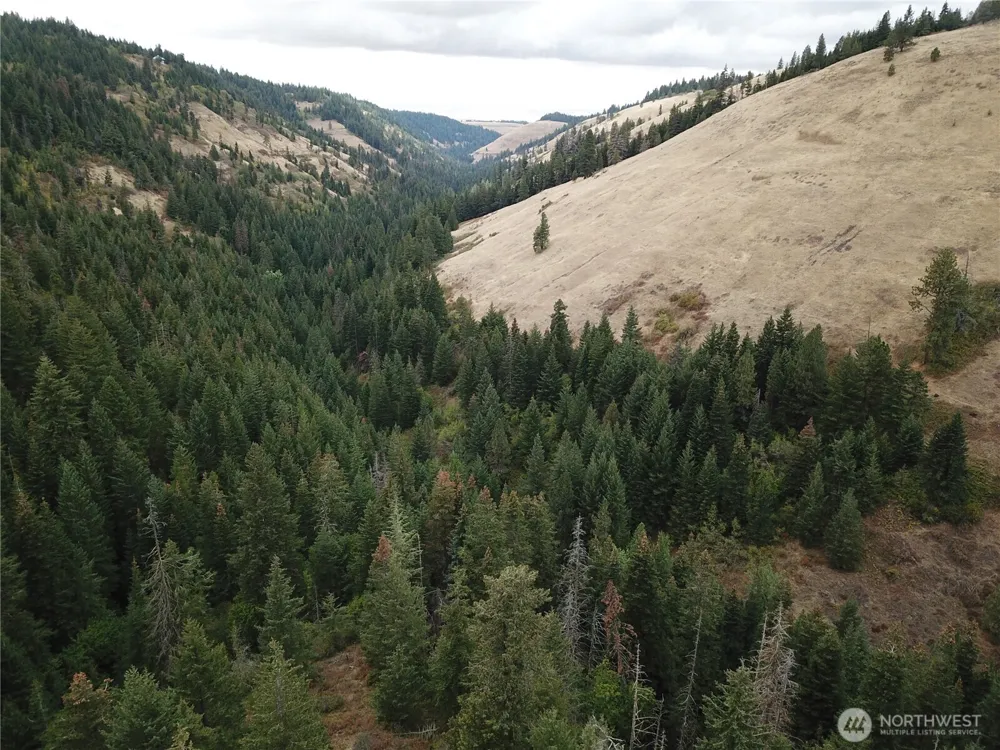 30 Acres off Biscuit Ridge Waitsburg, WA 99361