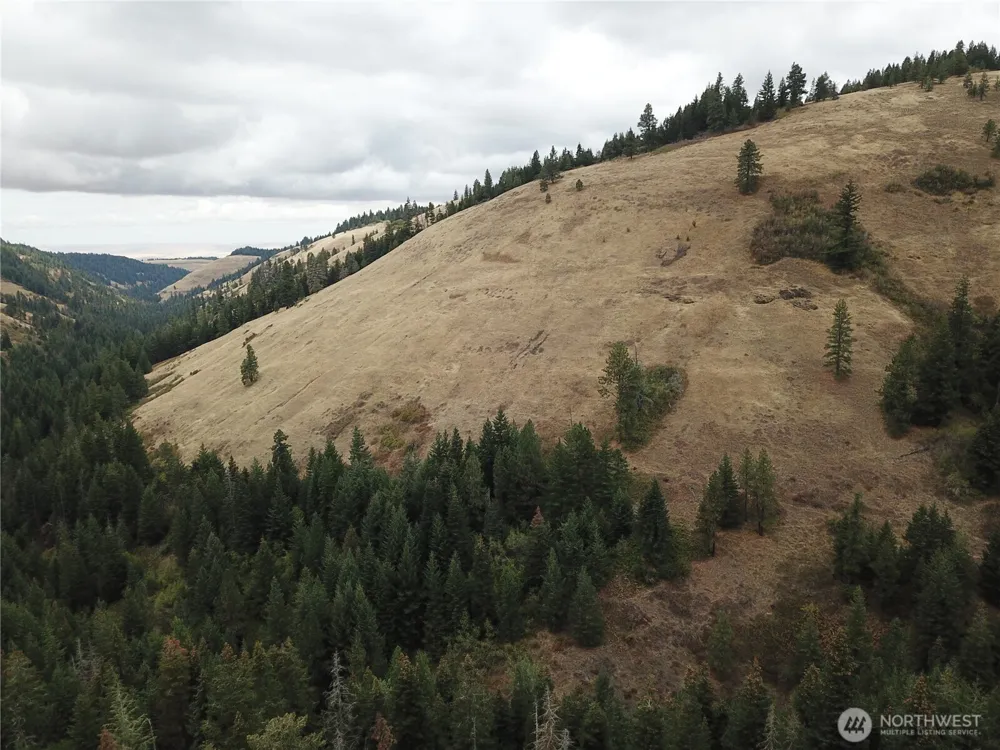 30 Acres off Biscuit Ridge Waitsburg, WA 99361