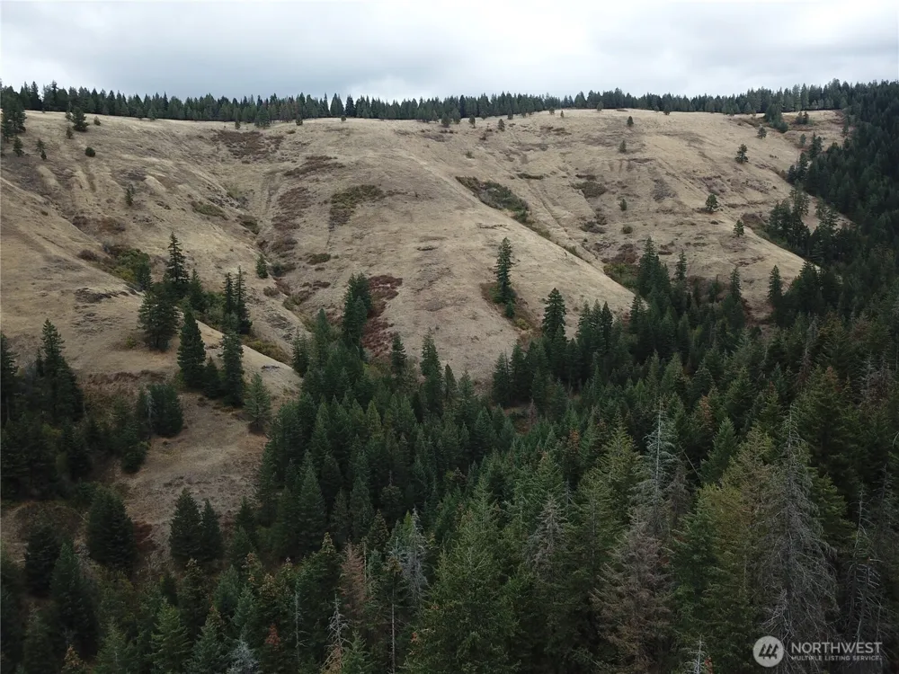 30 Acres off Biscuit Ridge Waitsburg, WA 99361