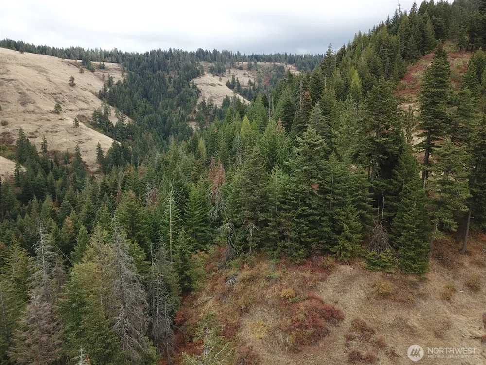 30 Acres off Biscuit Ridge Waitsburg, WA 99361