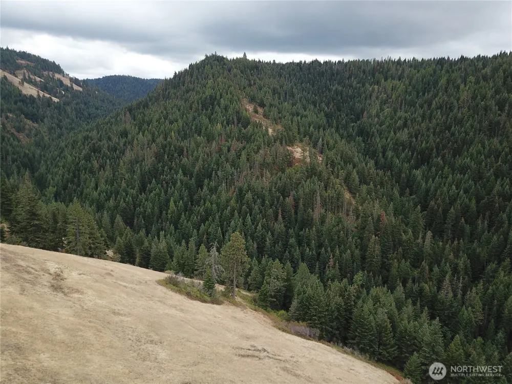 30 Acres off Biscuit Ridge Waitsburg, WA 99361