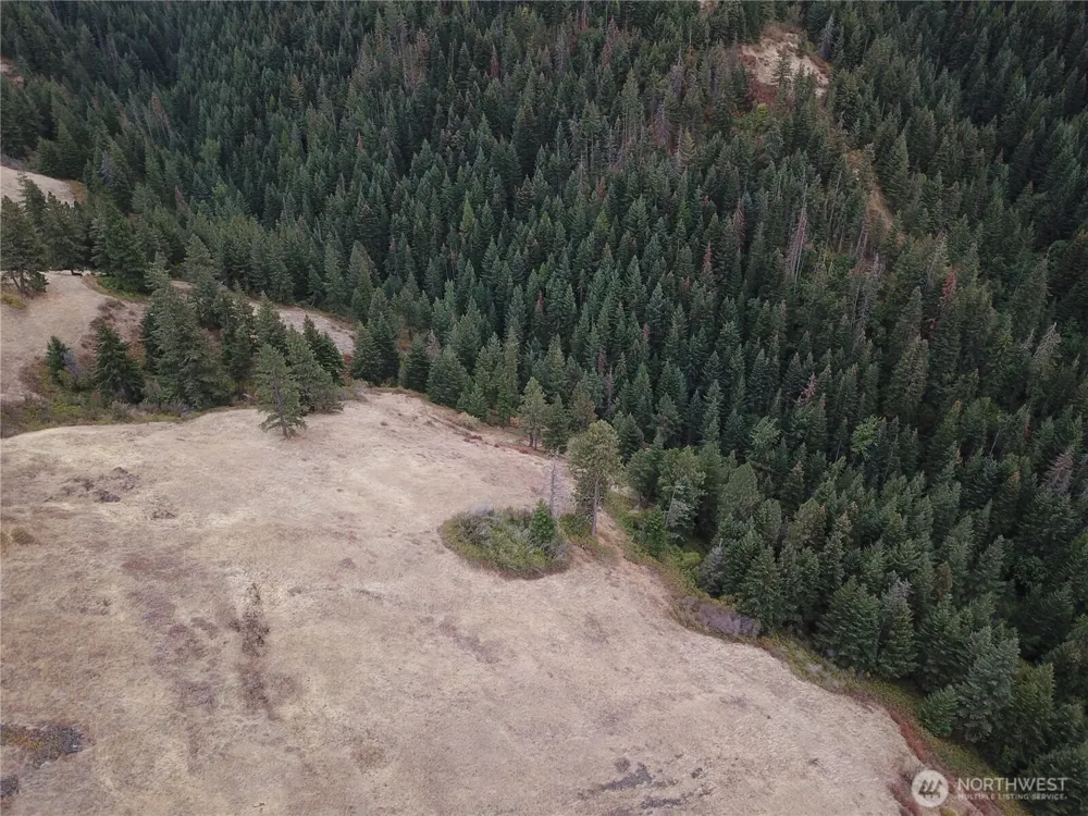30 Acres off Biscuit Ridge Waitsburg, WA 99361