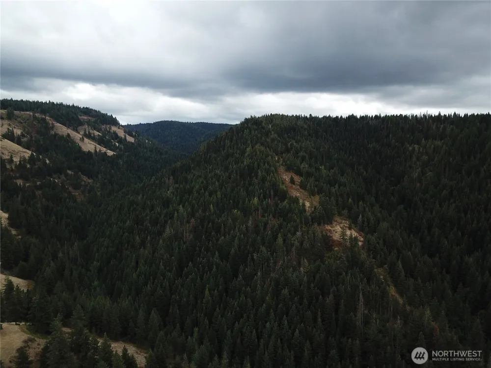 30 Acres off Biscuit Ridge Waitsburg, WA 99361