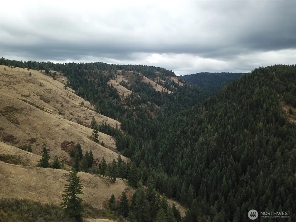 30 Acres off Biscuit Ridge Waitsburg, WA 99361