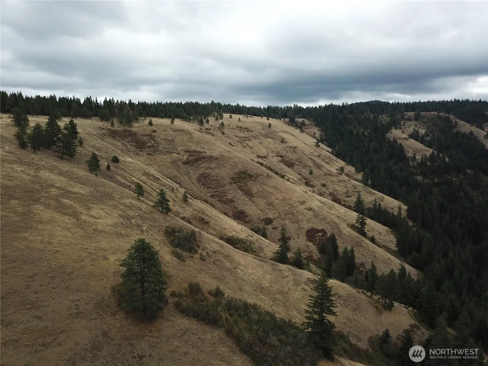 30 Acres off Biscuit Ridge Waitsburg, WA 99361
