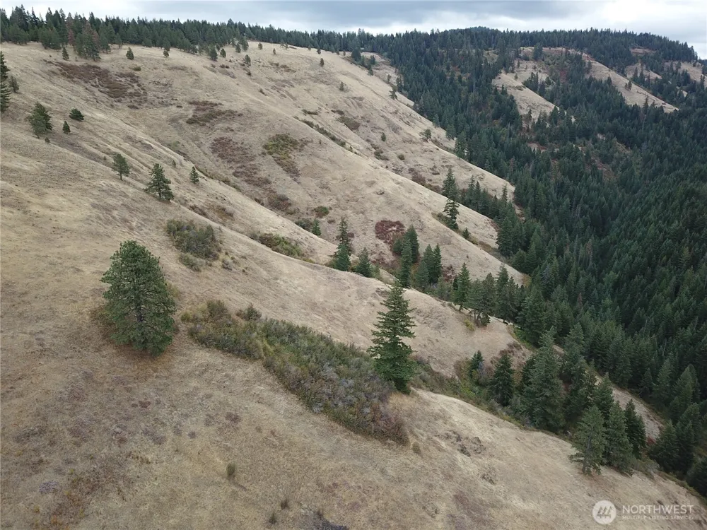 30 Acres off Biscuit Ridge Waitsburg, WA 99361