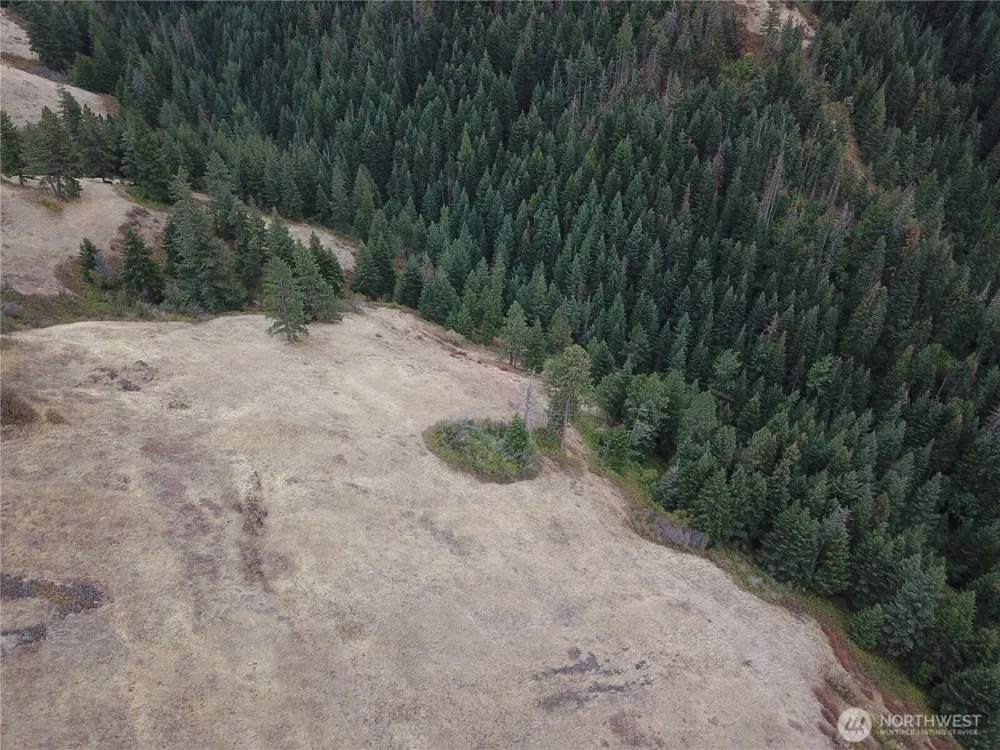 30 Acres off Biscuit Ridge Waitsburg, WA 99361