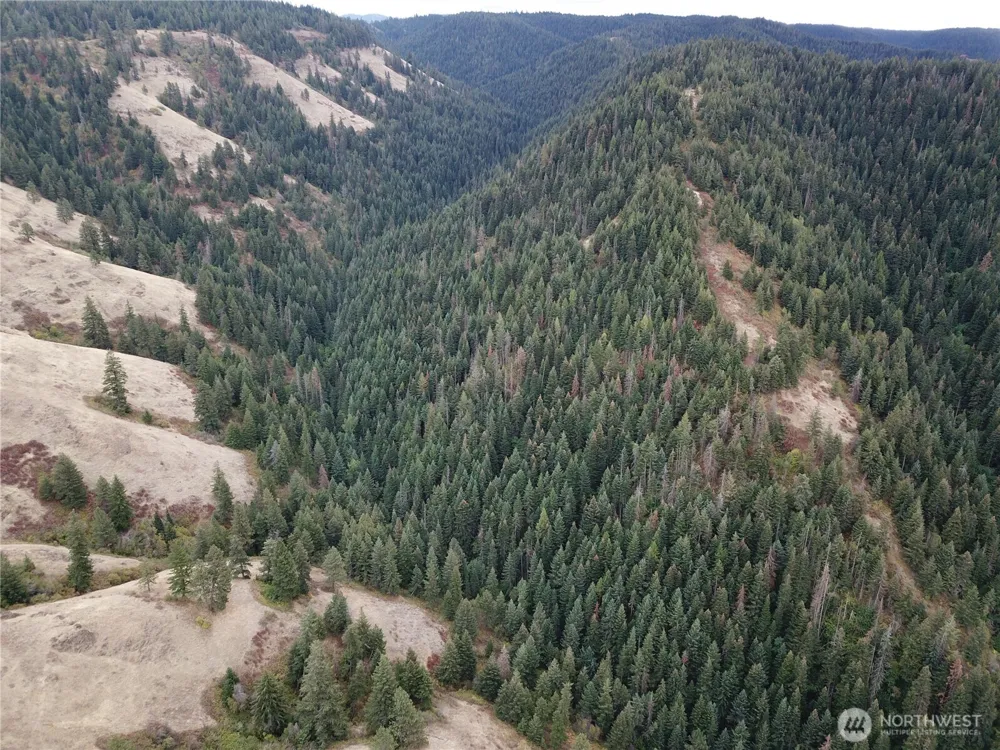 30 Acres off Biscuit Ridge Waitsburg, WA 99361