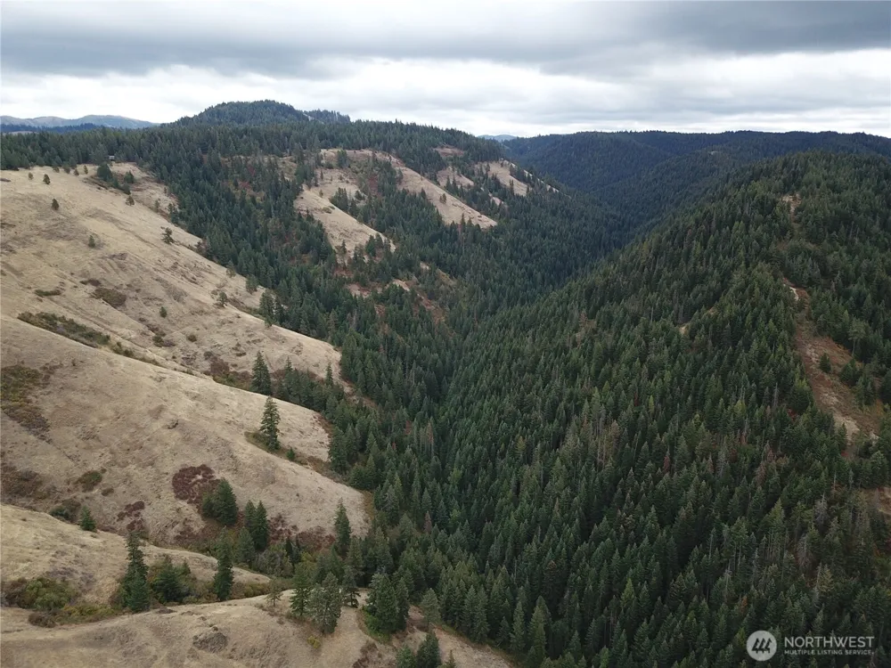 30 Acres off Biscuit Ridge Waitsburg, WA 99361