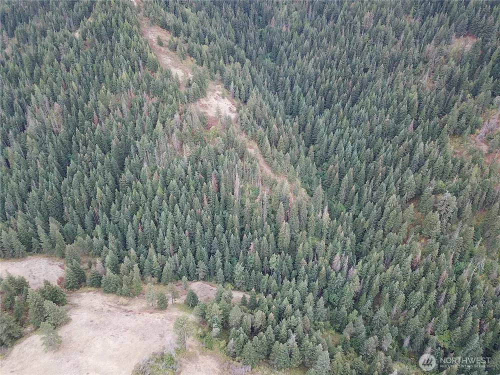 30 Acres off Biscuit Ridge Waitsburg, WA 99361
