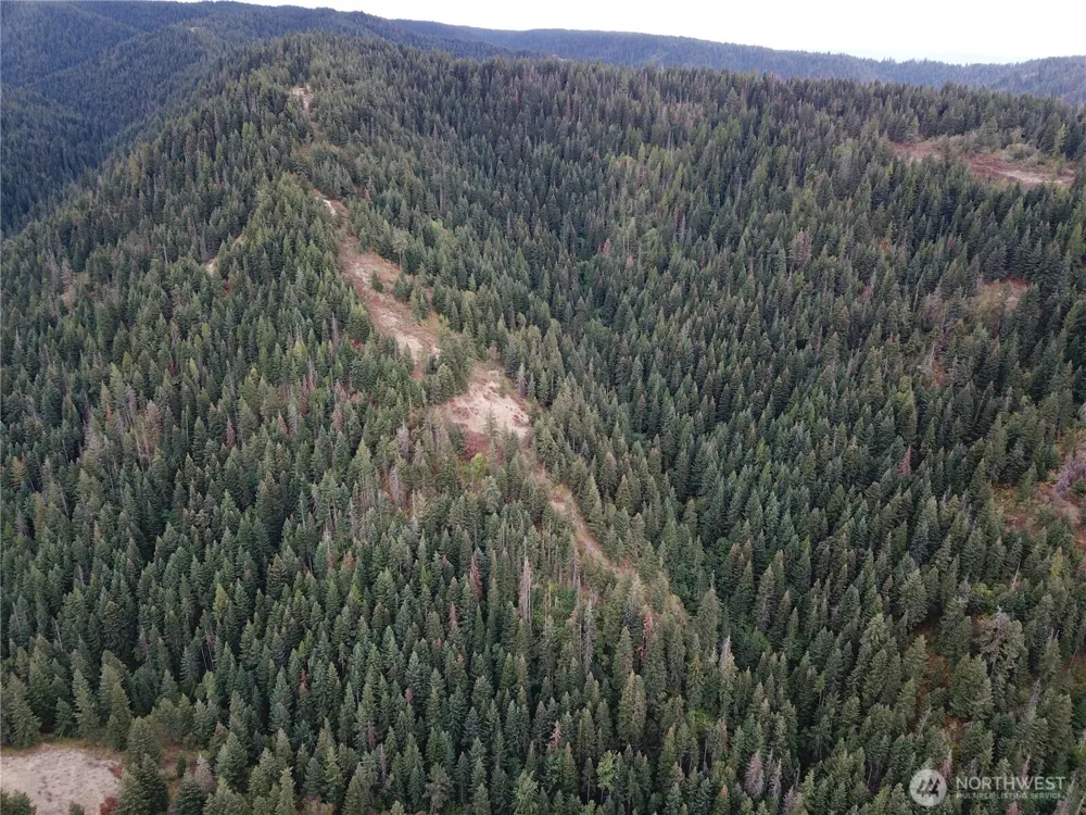 30 Acres off Biscuit Ridge Waitsburg, WA 99361