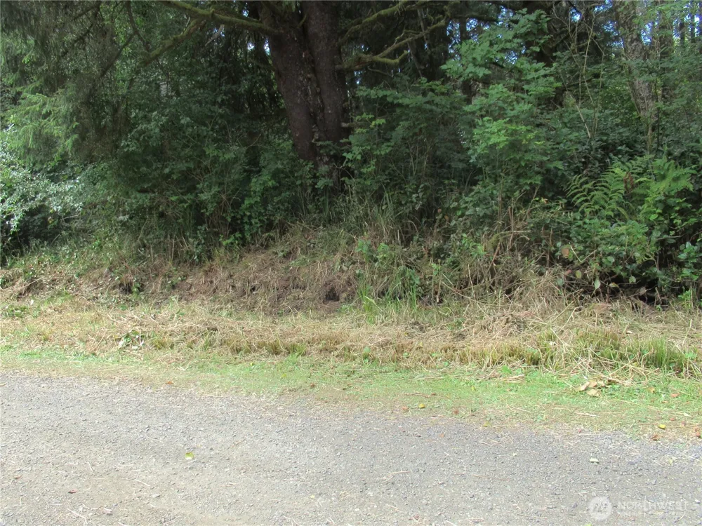 107 Dolphin Lane Copalis Beach, WA 98535