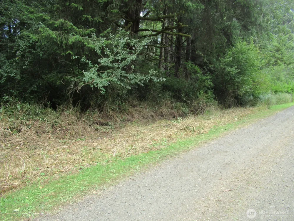 107 Dolphin Lane Copalis Beach, WA 98535