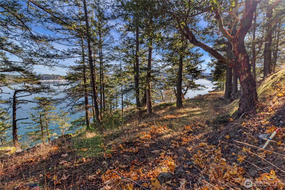 7 Roche Harbor Shores San Juan Island, WA 98250