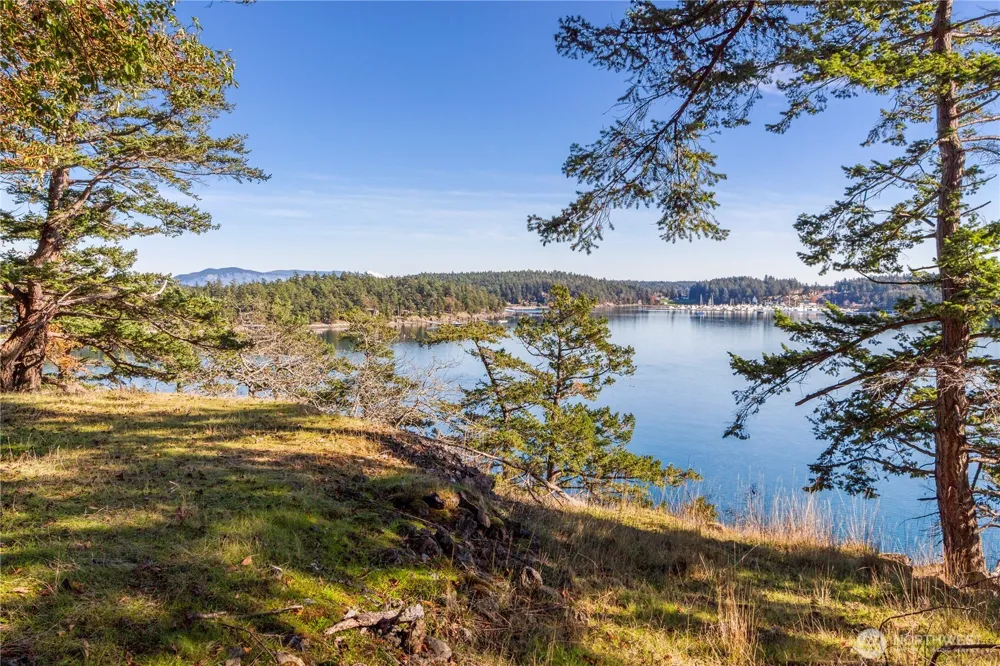 7 Roche Harbor Shores San Juan Island, WA 98250
