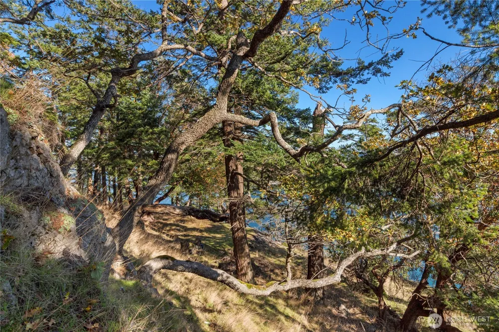 7 Roche Harbor Shores San Juan Island, WA 98250