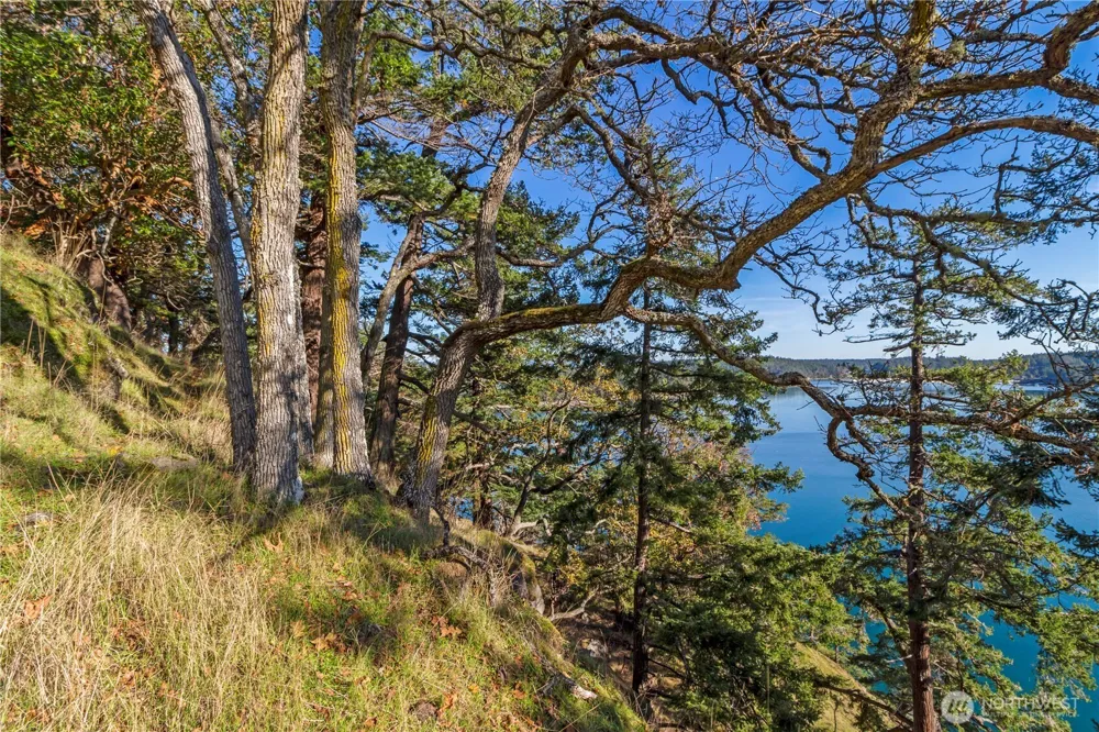 7 Roche Harbor Shores San Juan Island, WA 98250