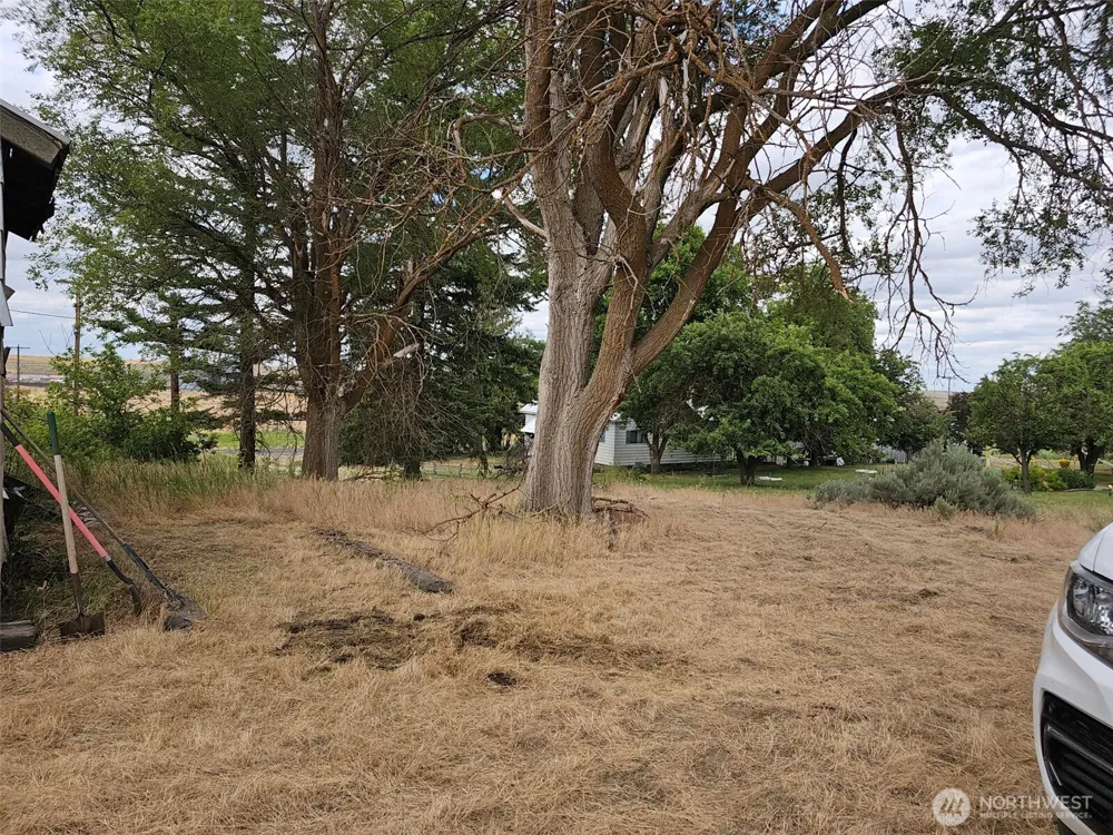 39681 Bluestem Road E Davenport, WA 99122