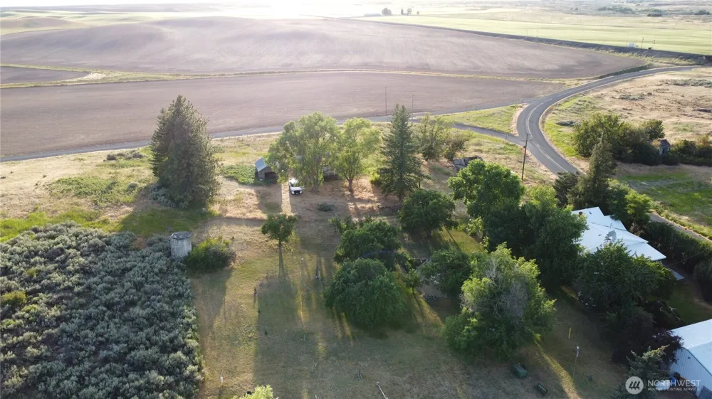 39681 Bluestem Road E Davenport, WA 99122
